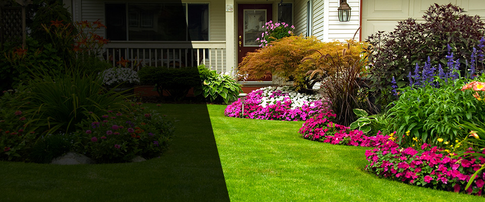 Bonaire Landscapers