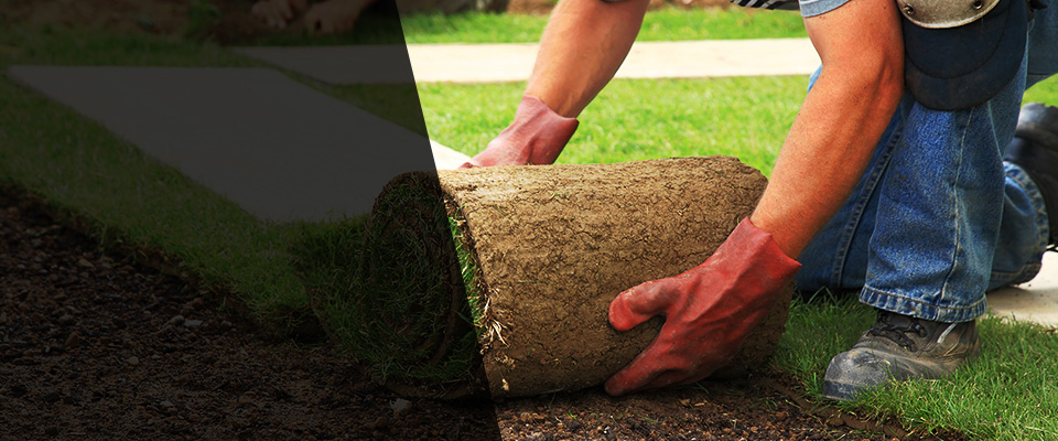 Bonaire Landscapers